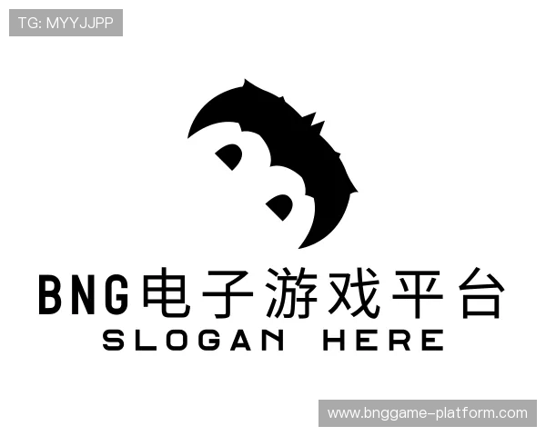 介绍bng电子游戏平台